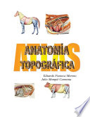 Atlas : anatomía topográfica /